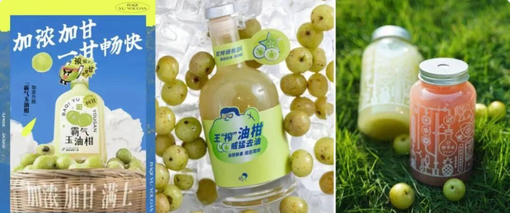 解困功能草本，捕捉國潮養(yǎng)生浪潮